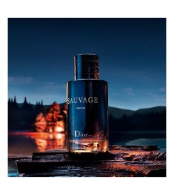 DIOR SAUVAGE EAU DE PARFUM SPRAY