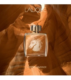 LALIQUE EQUUS POUR HOMME EAU DE PARFUM SPRAY 75ML