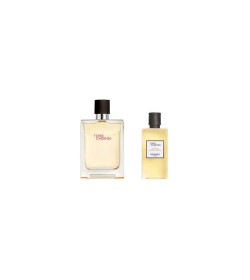 TERRE D HERMÈS EAU DE TOILETTE SPRAY 100ML +GEL BANHO 80ML