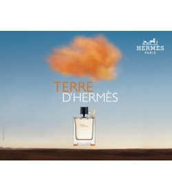 TERRE D HERMÈS EAU DE TOILETTE SPRAY 100ML +GEL BANHO 80ML
